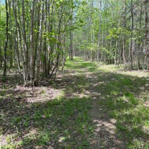 Photo #21 of Purcell, Reidsville, NC 65.1 acres