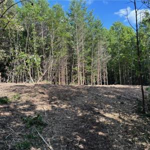 Photo #6 of 64.88 Ac Purcell, Reidsville, NC 64.9 acres