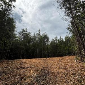 Photo #43 of 64.88 Ac Purcell, Reidsville, NC 64.9 acres