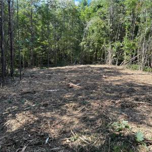 Photo #4 of 64.88 Ac Purcell, Reidsville, NC 64.9 acres