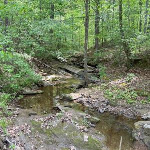 Photo #2 of 64.88 Ac Purcell, Reidsville, NC 64.9 acres