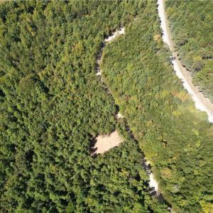 Photo #6 of 64.88 Ac Purcell, Reidsville, NC 64.9 acres