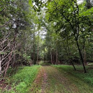 Photo #47 of 64.88 Ac Purcell, Reidsville, NC 64.9 acres