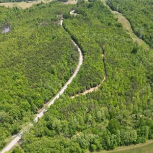 Photo #36 of 64.88 Ac Purcell, Reidsville, NC 64.9 acres