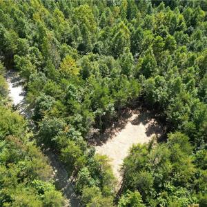 Photo #5 of 64.88 Ac Purcell, Reidsville, NC 64.9 acres