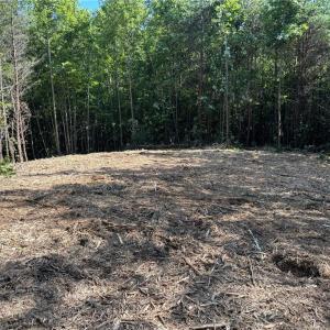 Photo #9 of 64.88 Ac Purcell, Reidsville, NC 64.9 acres