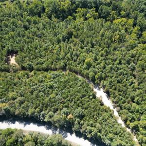 Photo #49 of 64.88 Ac Purcell, Reidsville, NC 64.9 acres