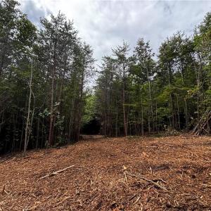 Photo #45 of 64.88 Ac Purcell, Reidsville, NC 64.9 acres