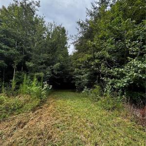 Photo #48 of 64.88 Ac Purcell, Reidsville, NC 64.9 acres