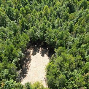 Photo #4 of 64.88 Ac Purcell, Reidsville, NC 64.9 acres