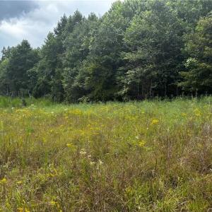 Photo #21 of 64.88 Ac Purcell, Reidsville, NC 64.9 acres