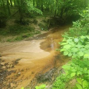 small stream on left side of lot. Lot includes both sides so it is yours.
