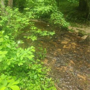 Photo #5 of 214 Sheraton Park, Greensboro, NC 2.0 acres