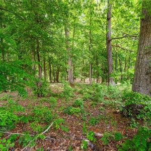 Photo #9 of Lot 10 Eagle Pointe, Norwood, NC 1.1 acres