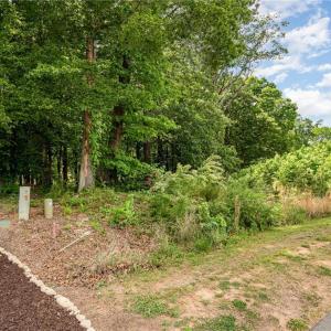 Photo #8 of Lot 10 Eagle Pointe, Norwood, NC 1.1 acres
