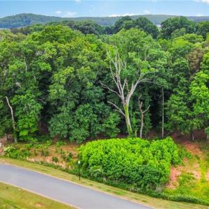 Photo #6 of Lot 10 Eagle Pointe, Norwood, NC 1.1 acres