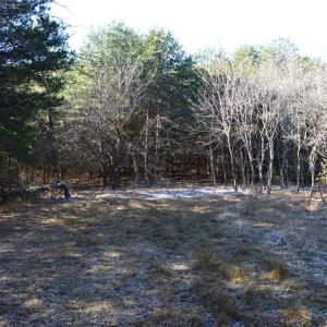 Photo #5 of 118 acres - Hanging Rock Park, Danbury, NC 118.0 acres