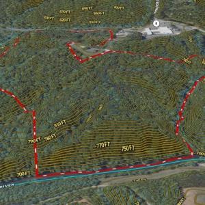 Photo #27 of 90 acres west tract - NC Highway 89, Danbury, NC 90.0 acres