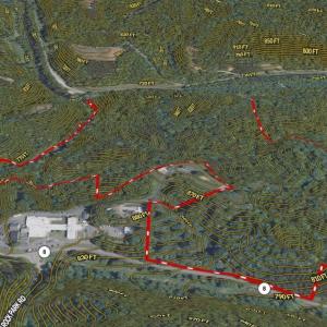 Photo #26 of 90 acres west tract - NC Highway 89, Danbury, NC 90.0 acres