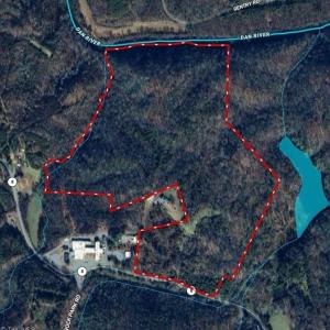 Photo #24 of 90 acres west tract - NC Highway 89, Danbury, NC 90.0 acres