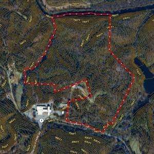 Photo #25 of 90 acres west tract - NC Highway 89, Danbury, NC 90.0 acres