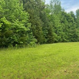 Photo #17 of 7111 Faucette Farms, Browns Summit, NC 16.0 acres