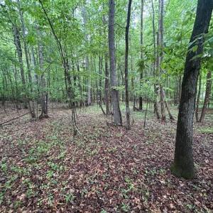 Photo #16 of 7111 Faucette Farms, Browns Summit, NC 16.0 acres