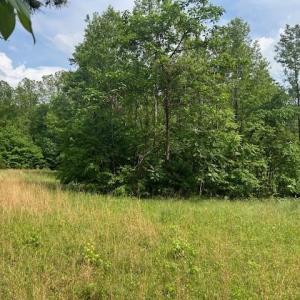 Photo #26 of 7111 Faucette Farms, Browns Summit, NC 16.0 acres