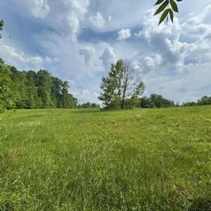 Photo #22 of 7111 Faucette Farms, Browns Summit, NC 16.0 acres