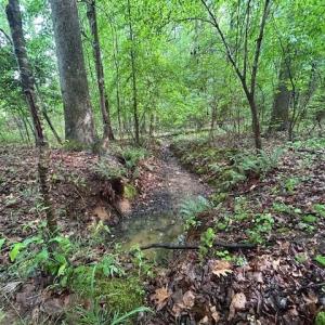 Photo #20 of 7111 Faucette Farms, Browns Summit, NC 16.0 acres