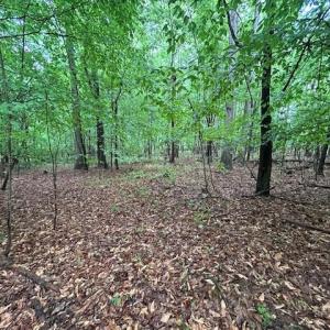 Photo #18 of 7111 Faucette Farms, Browns Summit, NC 16.0 acres