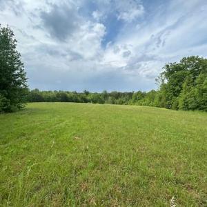 Photo #29 of 7111 Faucette Farms, Browns Summit, NC 16.0 acres