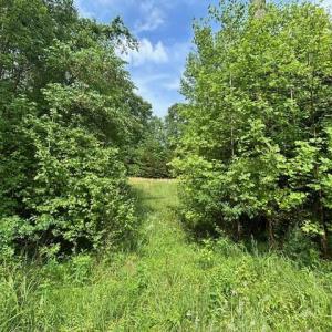 Photo #27 of 7111 Faucette Farms, Browns Summit, NC 16.0 acres