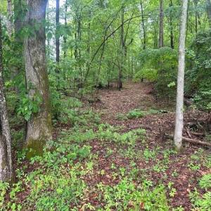 Photo #12 of 7111 Faucette Farms, Browns Summit, NC 16.0 acres