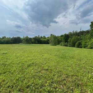 Photo #28 of 7111 Faucette Farms, Browns Summit, NC 16.0 acres