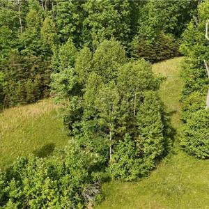 Photo #10 of 7111 Faucette Farms, Browns Summit, NC 16.0 acres