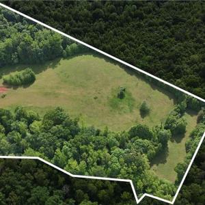 Photo #4 of 7111 Faucette Farms, Browns Summit, NC 16.0 acres