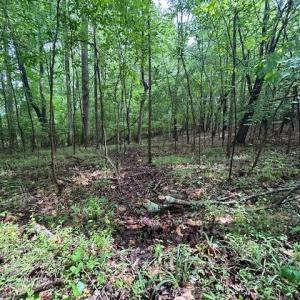 Photo #21 of 7111 Faucette Farms, Browns Summit, NC 16.0 acres