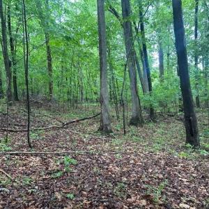 Photo #13 of 7111 Faucette Farms, Browns Summit, NC 16.0 acres