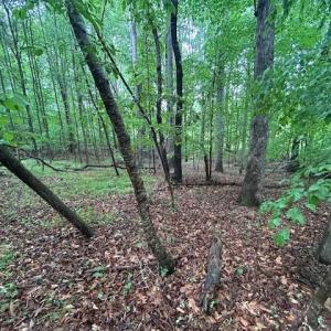 Photo #14 of 7111 Faucette Farms, Browns Summit, NC 16.0 acres