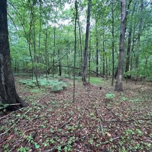 Photo #15 of 7111 Faucette Farms, Browns Summit, NC 16.0 acres