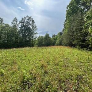 Photo #25 of 7111 Faucette Farms, Browns Summit, NC 16.0 acres