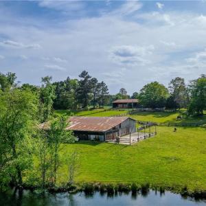 Photo #36 of 5059 Mount Vernon Church, Burlington, NC 10.1 acres