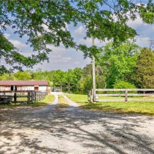 Photo #4 of 5059 Mount Vernon Church, Burlington, NC 10.1 acres