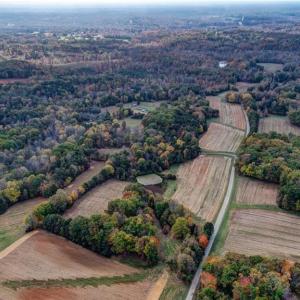 Photo #3 of 501 Barley, Reidsville, NC 88.6 acres