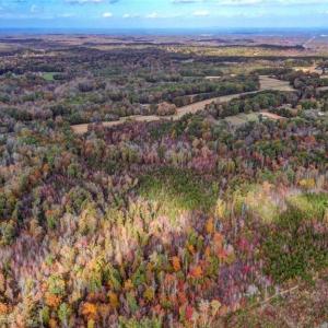 Photo #11 of 501 Barley, Reidsville, NC 88.6 acres