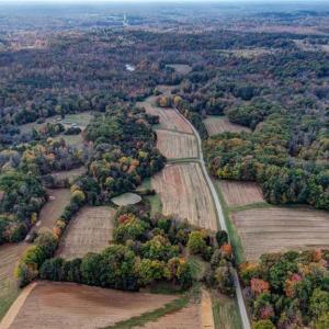 Photo #4 of 501 Barley, Reidsville, NC 88.6 acres