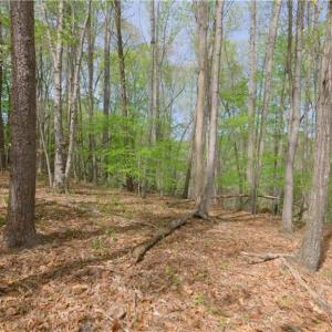 Photo #6 of 3-3 Thomas Farm, King, NC 3.0 acres