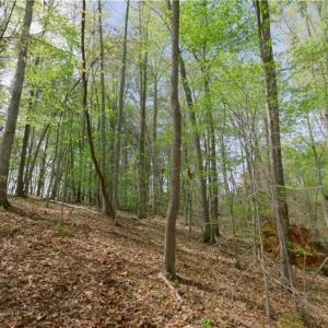 Photo #7 of 3-3 Thomas Farm, King, NC 3.0 acres