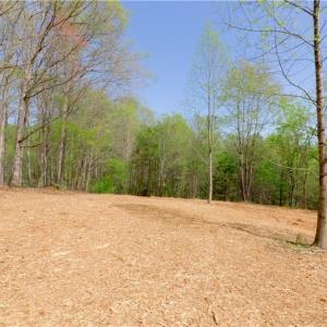Photo #5 of 3-3 Thomas Farm, King, NC 3.0 acres